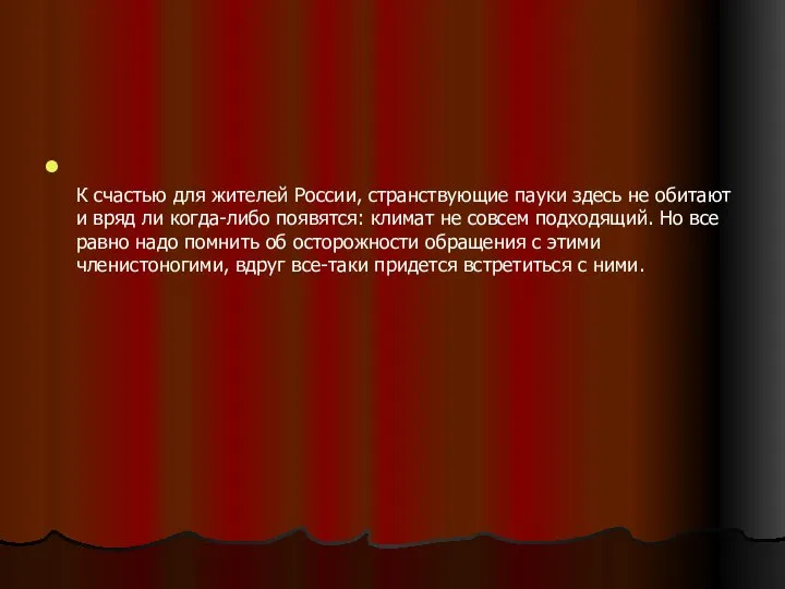 К счастью для жителей России, странствующие пауки здесь не обитают и