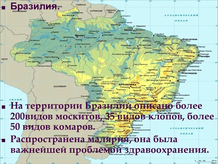 Бразилия. На территории Бразилии описано более 200видов москитов, 35 видов клопов,