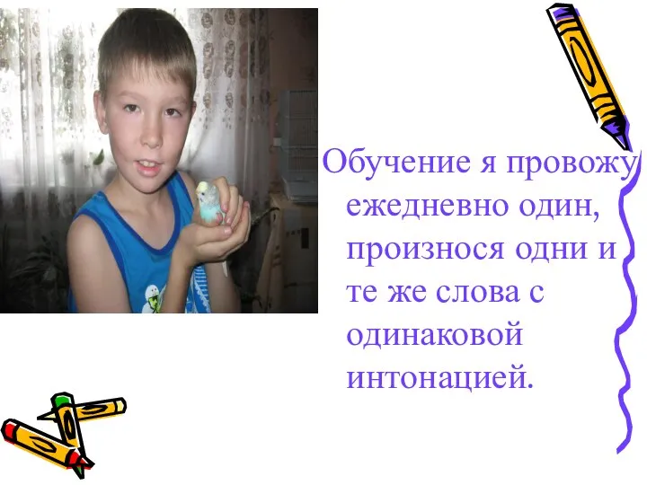 Обучение я провожу ежедневно один, произнося одни и те же слова с одинаковой интонацией.