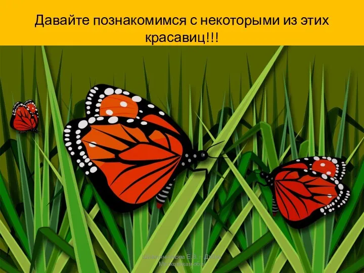 Давайте познакомимся с некоторыми из этих красавиц!!! Шишлянникова Е.В. г. Дубна Московская обл.