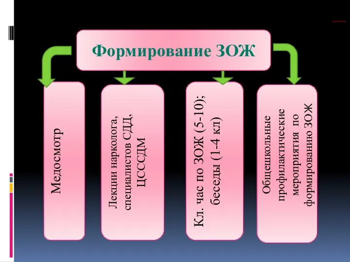 Формирование ЗОЖ Медосмотр Лекции нарколога, специалистов СДД, ЦСССДМ Кл. час по