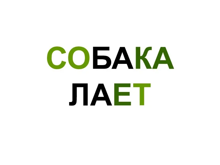 СОБАКА ЛАЕТ