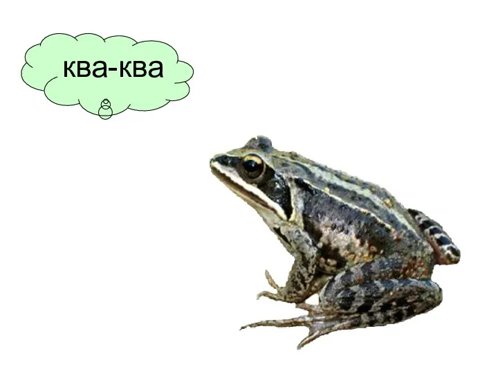 ква-ква