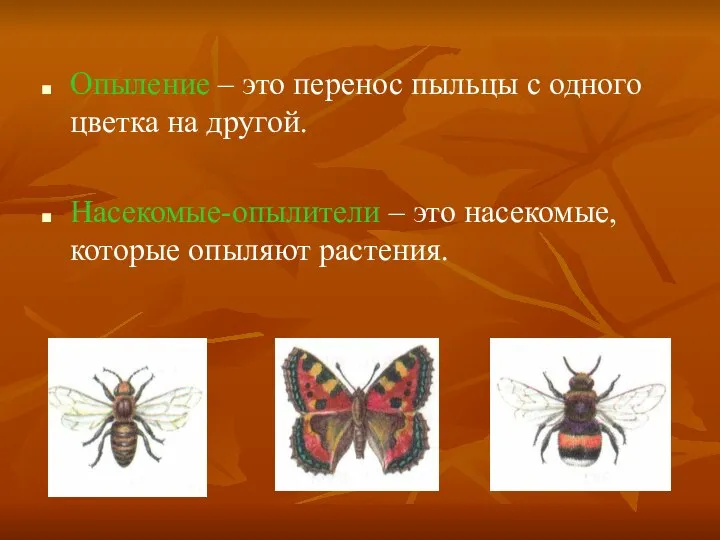 Опыление – это перенос пыльцы с одного цветка на другой. Насекомые-опылители