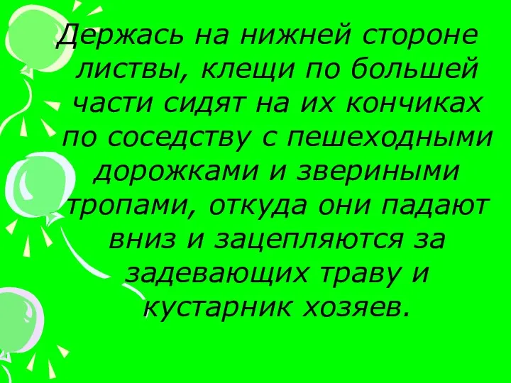 Держась на нижней стороне листвы, клещи по большей части сидят на