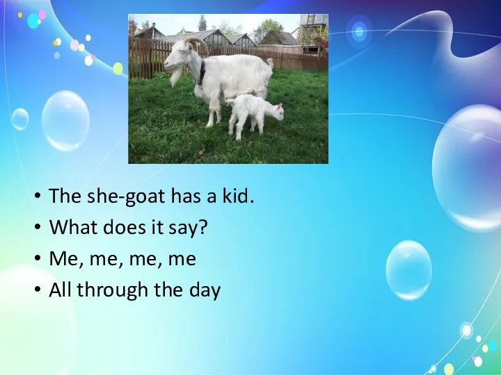 The she-goat has a kid. What does it say? Me, me,