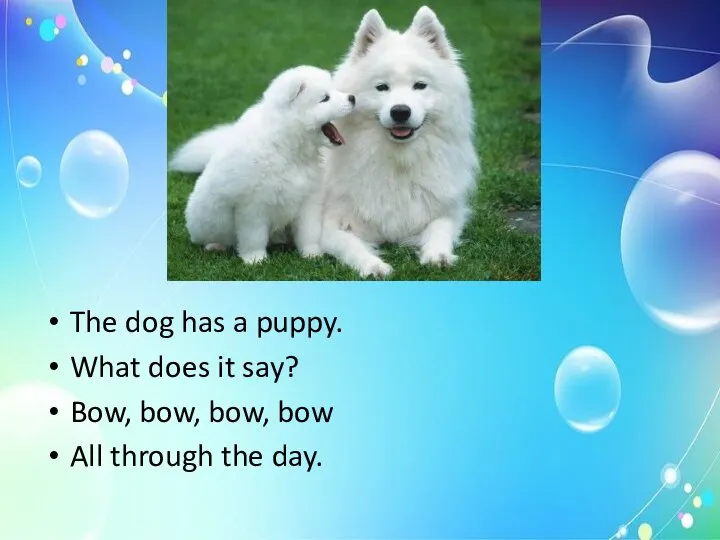 The dog has a puppy. What does it say? Bow, bow,