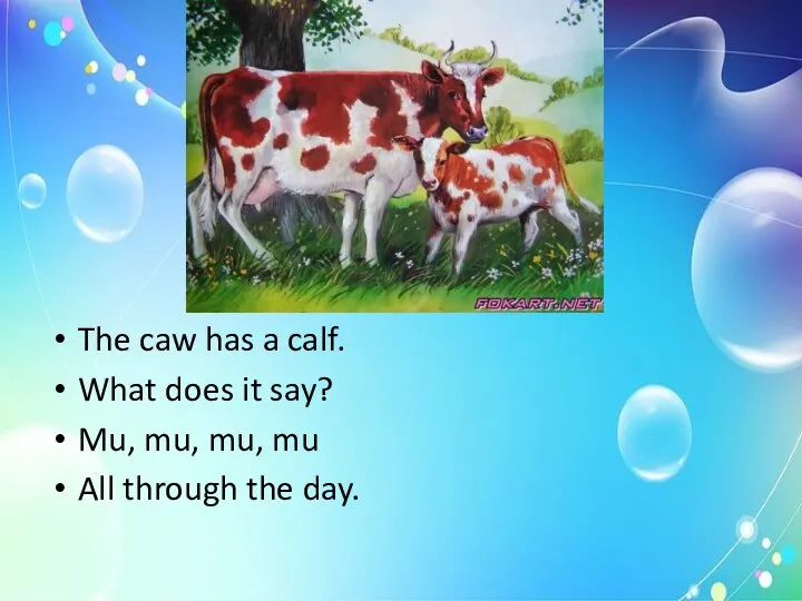 The caw has a calf. What does it say? Mu, mu,