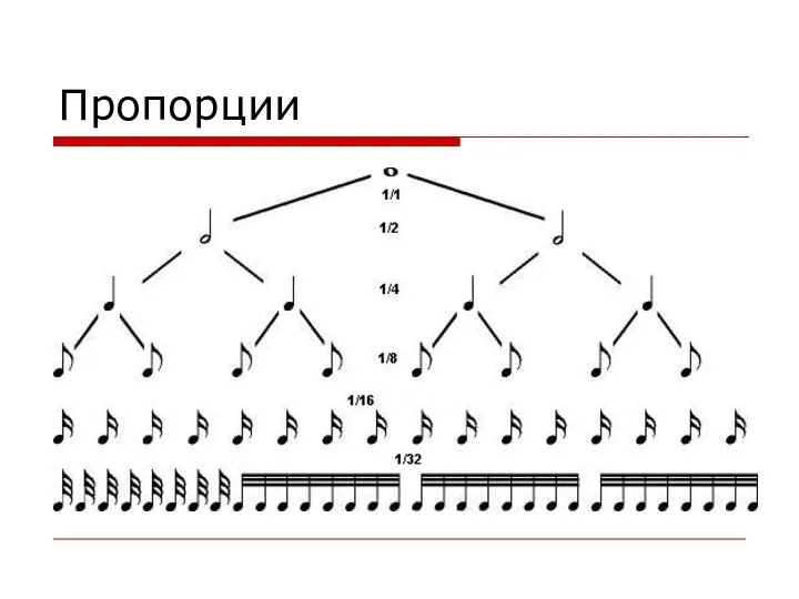 Пропорции