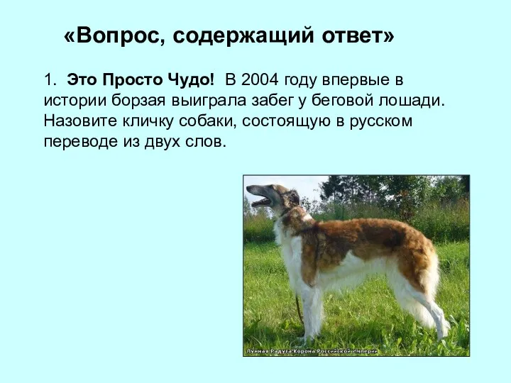 «Вопрос, содержащий ответ» 1. Это Просто Чудо! В 2004 году впервые