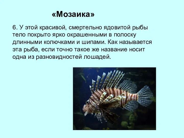 «Мозаика» 6. У этой красивой, смертельно ядовитой рыбы тело покрыто ярко