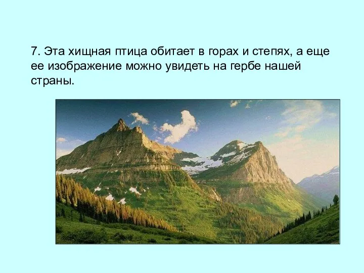 7. Эта хищная птица обитает в горах и степях, а еще