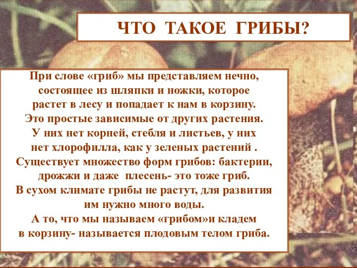 ЧТО ТАКОЕ ГРИБЫ? ЧТО ТАКОЕ ГРИБЫ? При слове «гриб» мы представляем