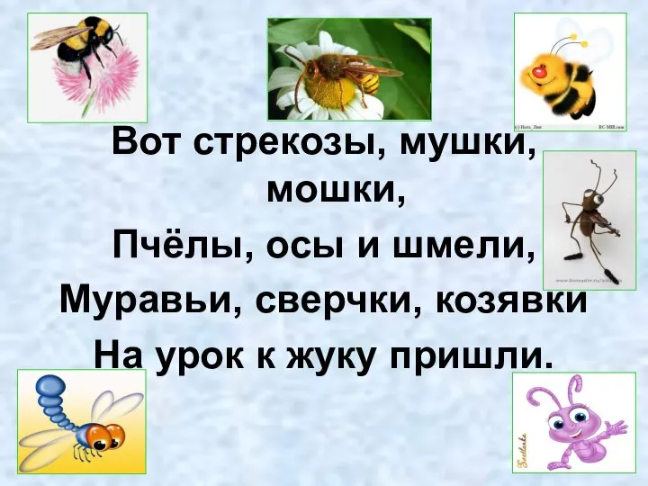 Вот стрекозы, мушки, мошки, Пчёлы, осы и шмели, Муравьи, сверчки, козявки На урок к жуку пришли.