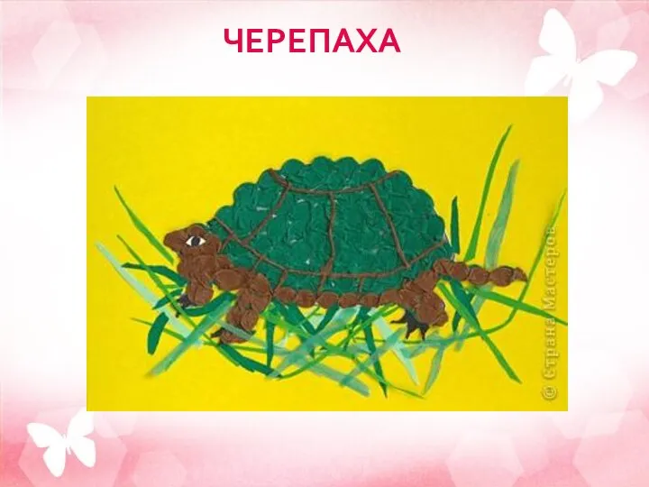 ЧЕРЕПАХА