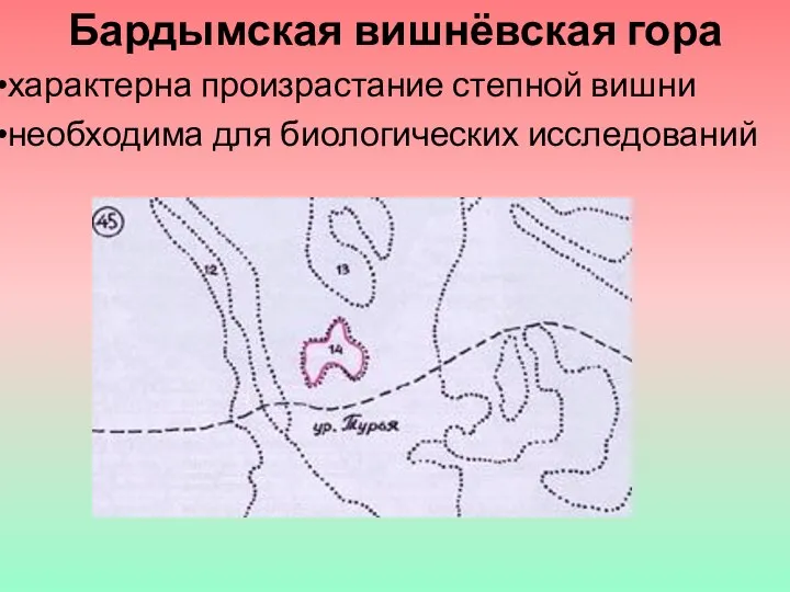 Бардымская вишнёвская гора характерна произрастание степной вишни необходима для биологических исследований