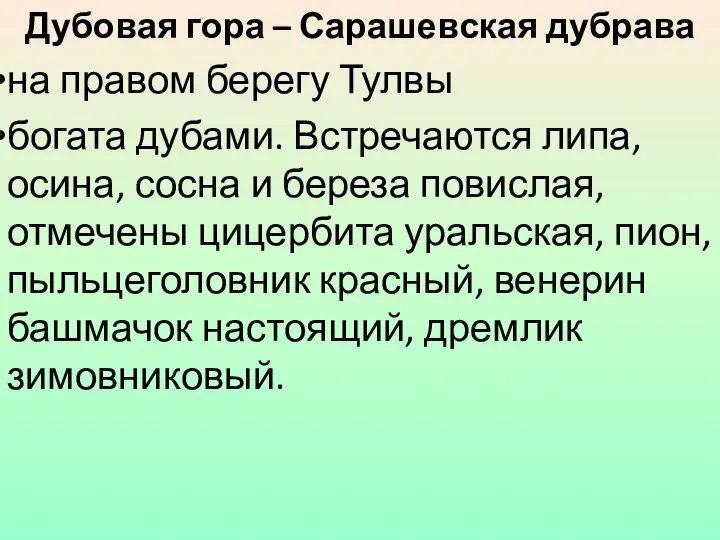 Дубовая гора – Сарашевская дубрава на правом берегу Тулвы богата дубами.