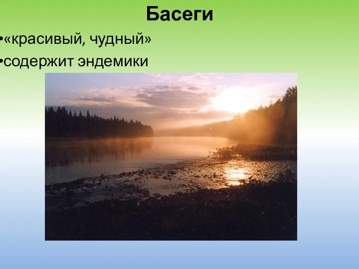 Басеги «красивый, чудный» содержит эндемики