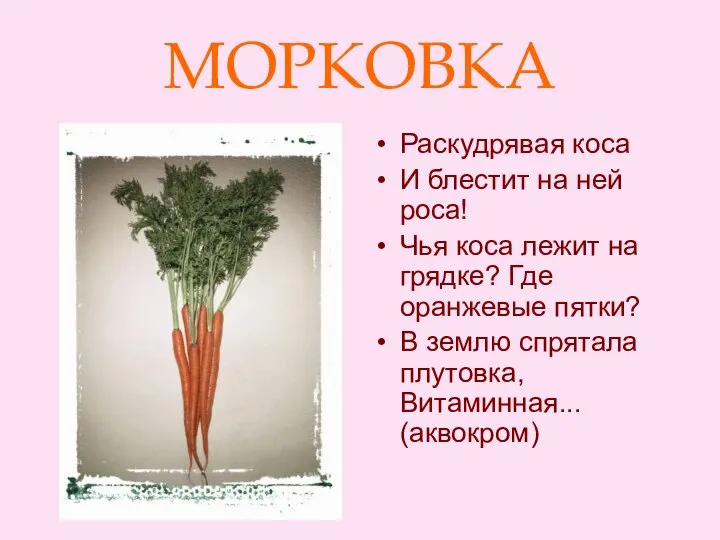 МОРКОВКА Раскудрявая коса И блестит на ней роса! Чья коса лежит