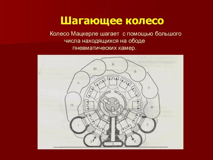 Шагающее колесо Колесо Мацкерле шагает с помощью большого числа находящихся на ободе пневматических камер.