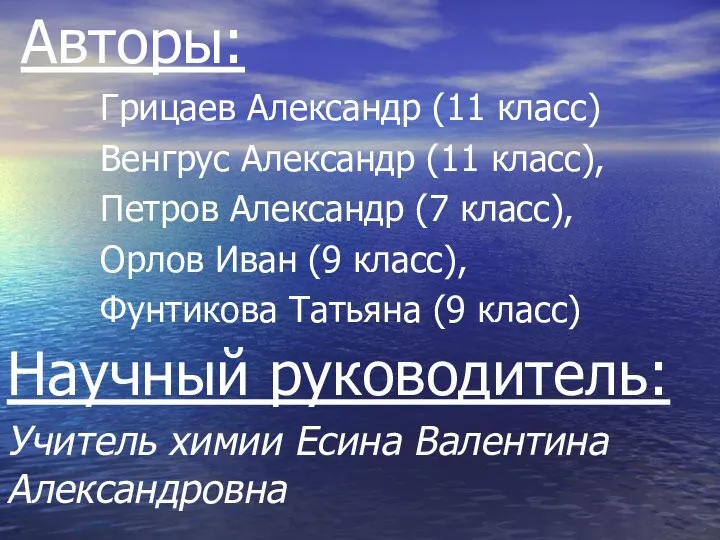 Авторы: Грицаев Александр (11 класс) Венгрус Александр (11 класс), Петров Александр