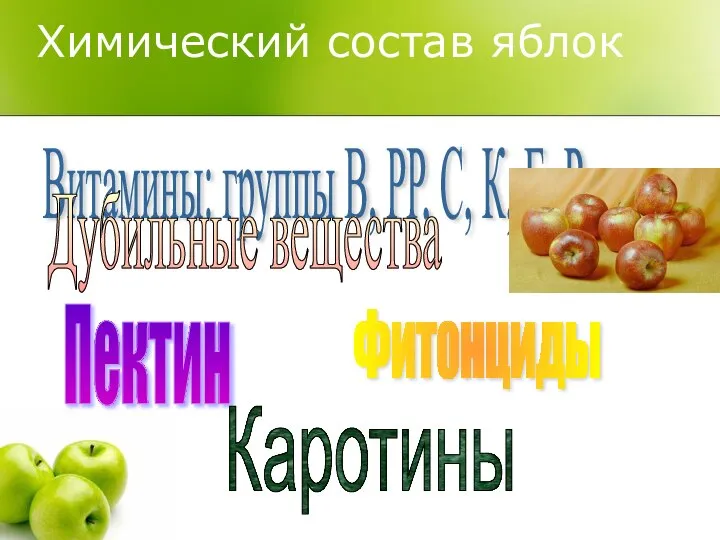 Химический состав яблок Витамины: группы В, РР, С, К, Е, Р Дубильные вещества Фитонциды Пектин Каротины