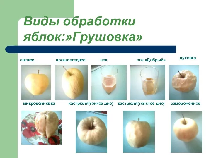 свежее прошлогоднее сок сок «Добрый» микроволновка кастрюля(тонкое дно) кастрюля(толстое дно) духовка замороженное Виды обработки яблок:»Грушовка»