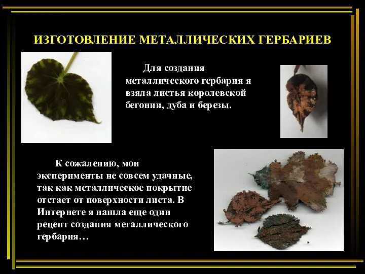 ИЗГОТОВЛЕНИЕ МЕТАЛЛИЧЕСКИХ ГЕРБАРИЕВ Для создания металлического гербария я взяла листья королевской