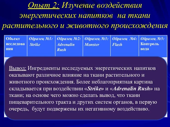 Опыт 2: Изучение воздействия энергетических напитков на ткани растительного и животного