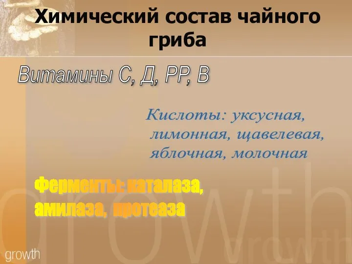 Химический состав чайного гриба Витамины С, Д, РР, В Кислоты: уксусная,