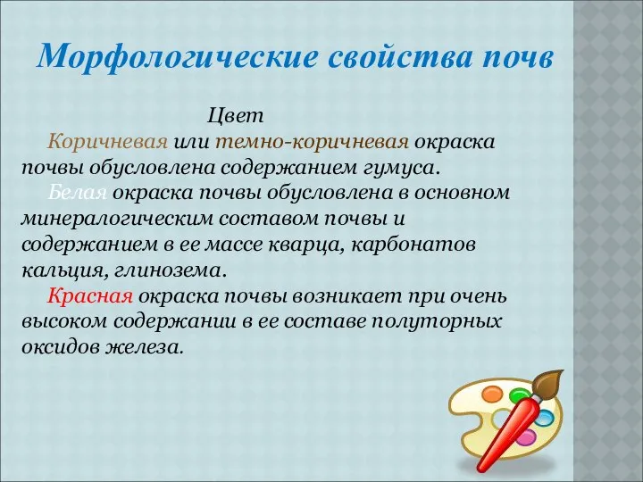 Морфологические свойства почв Цвет Коричневая или темно-коричневая окраска почвы обусловлена содержанием