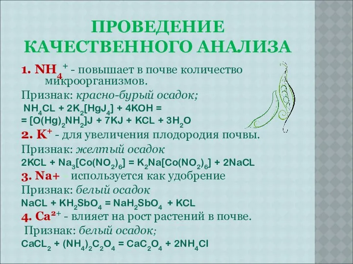 ПРОВЕДЕНИЕ КАЧЕСТВЕННОГО АНАЛИЗА 1. NH4+ - повышает в почве количество микроорганизмов.