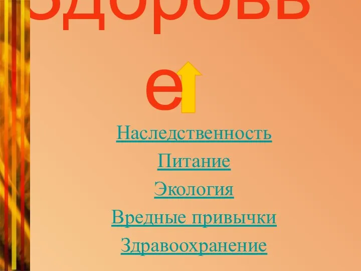 Наследственность Питание Экология Вредные привычки Здравоохранение Здоровье