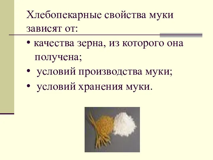 Хлебопекарные свойства муки зависят от: • качества зерна, из которого она