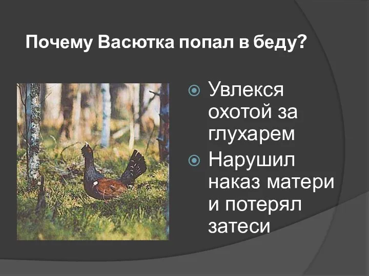 Почему Васютка попал в беду? Увлекся охотой за глухарем Нарушил наказ матери и потерял затеси