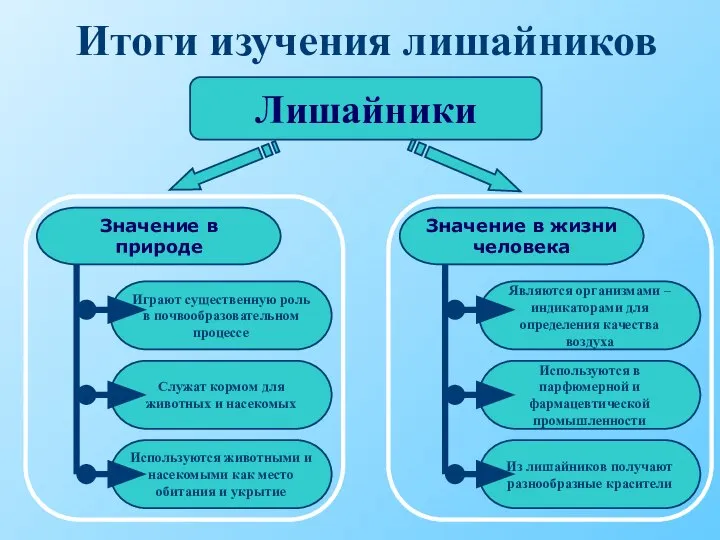 Итоги изучения лишайников Лишайники Значение в природе Значение в жизни человека