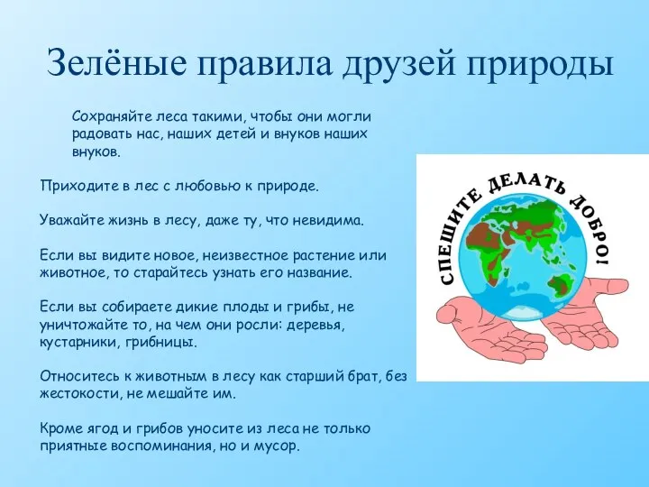 Зелёные правила друзей природы Сохраняйте леса такими, чтобы они могли радовать