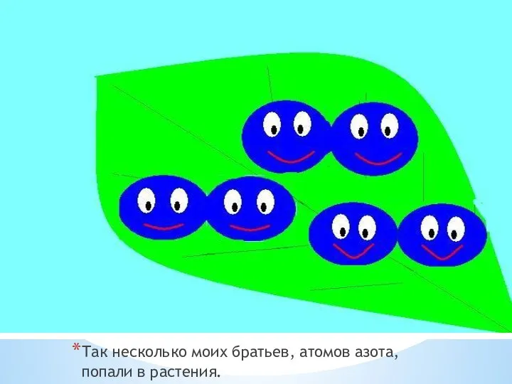 Так несколько моих братьев, атомов азота, попали в растения.