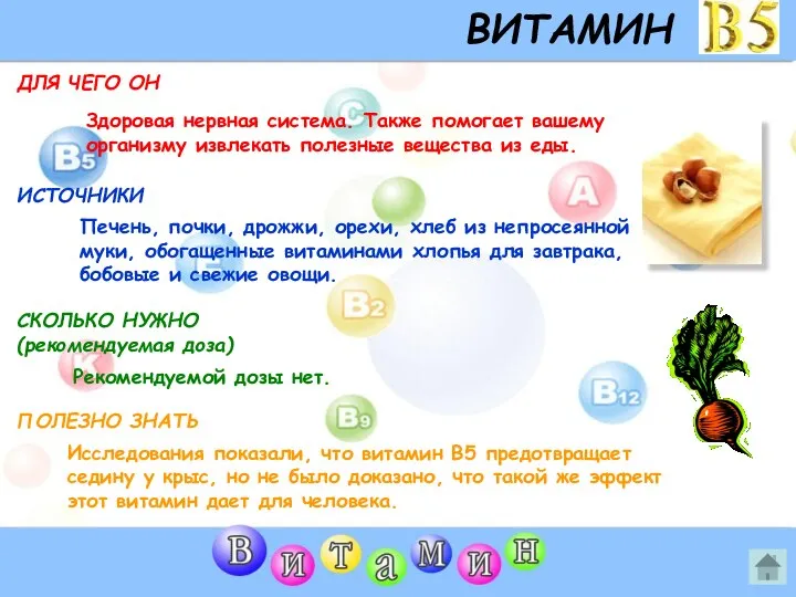 ВИТАМИН B5 ДЛЯ ЧЕГО ОН ИСТОЧНИКИ СКОЛЬКО НУЖНО (рекомендуемая доза) ПОЛЕЗНО