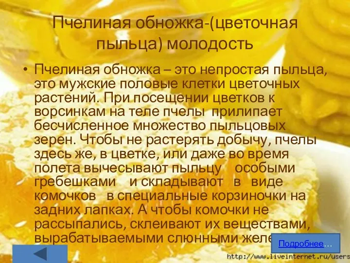 Пчелиная обножка-(цветочная пыльца) молодость Пчелиная обножка – это непростая пыльца, это