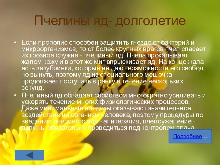 Пчелины яд- долголетие Если прополис способен защитить гнездо от бактерий и