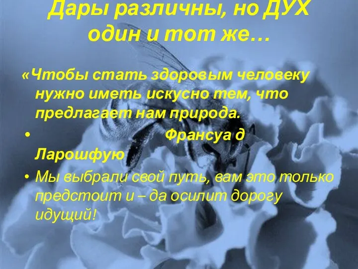 Дары различны, но ДУХ один и тот же… «Чтобы стать здоровым