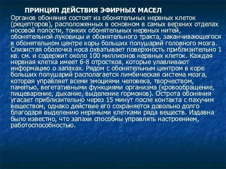 ПРИНЦИП ДЕЙСТВИЯ ЭФИРНЫХ МАСЕЛ Органов обоняния состоят из обонятельных нервных клеток