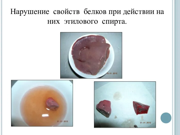 Нарушение свойств белков при действии на них этилового спирта.