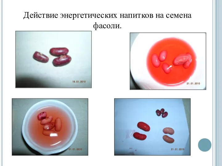 Действие энергетических напитков на семена фасоли.