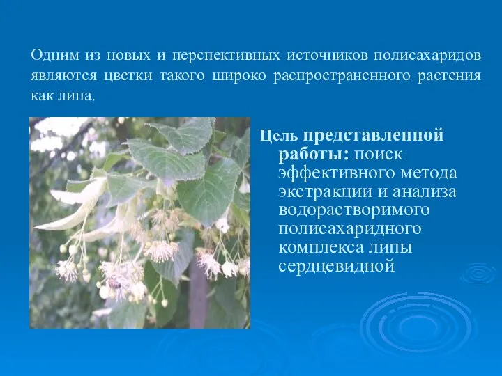 Цель представленной работы: поиск эффективного метода экстракции и анализа водорастворимого полисахаридного