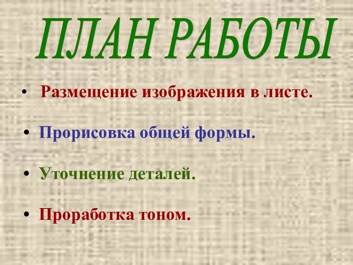 • Размещение изображения в листе. Прорисовка общей формы. Уточнение деталей. Проработка тоном. ПЛАН РАБОТЫ