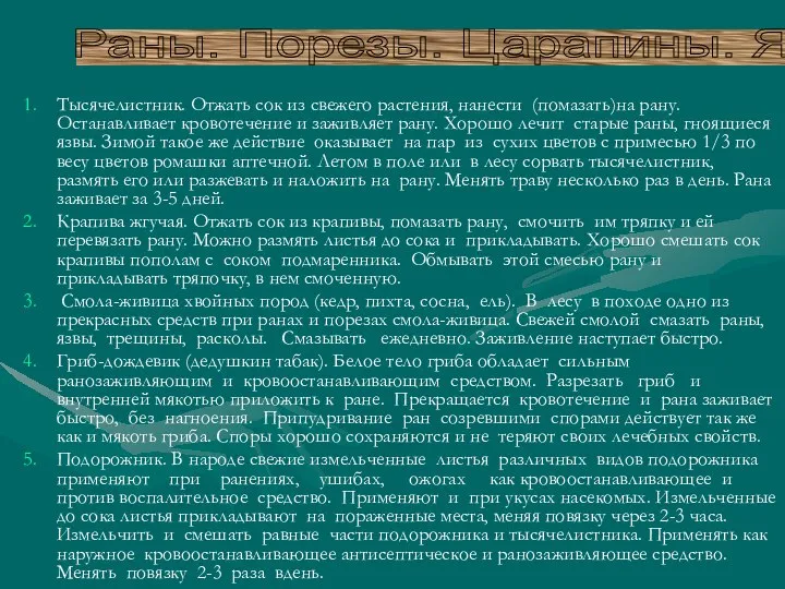 Тысячелистник. Отжать сок из свежего растения, нанести (помазать)на рану. Останавливает кровотечение