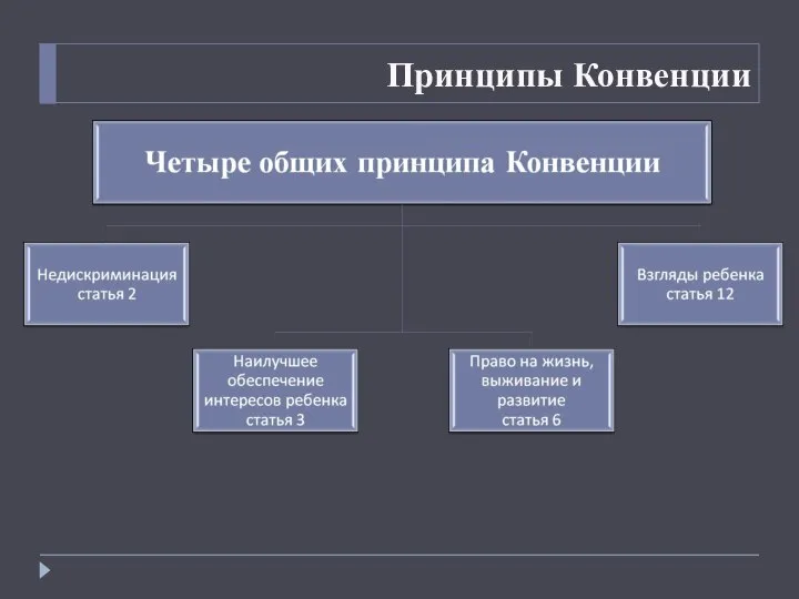 Принципы Конвенции