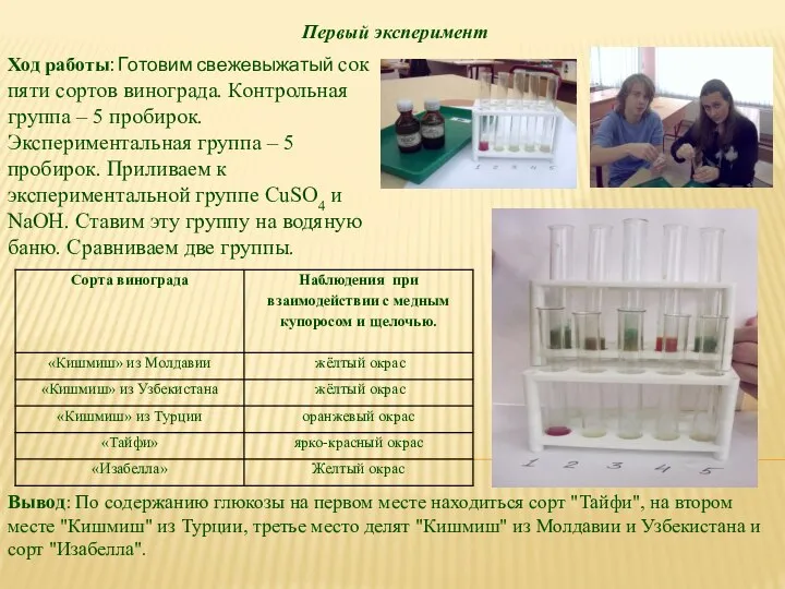 Первый эксперимент Ход работы: Готовим свежевыжатый сок пяти сортов винограда. Контрольная